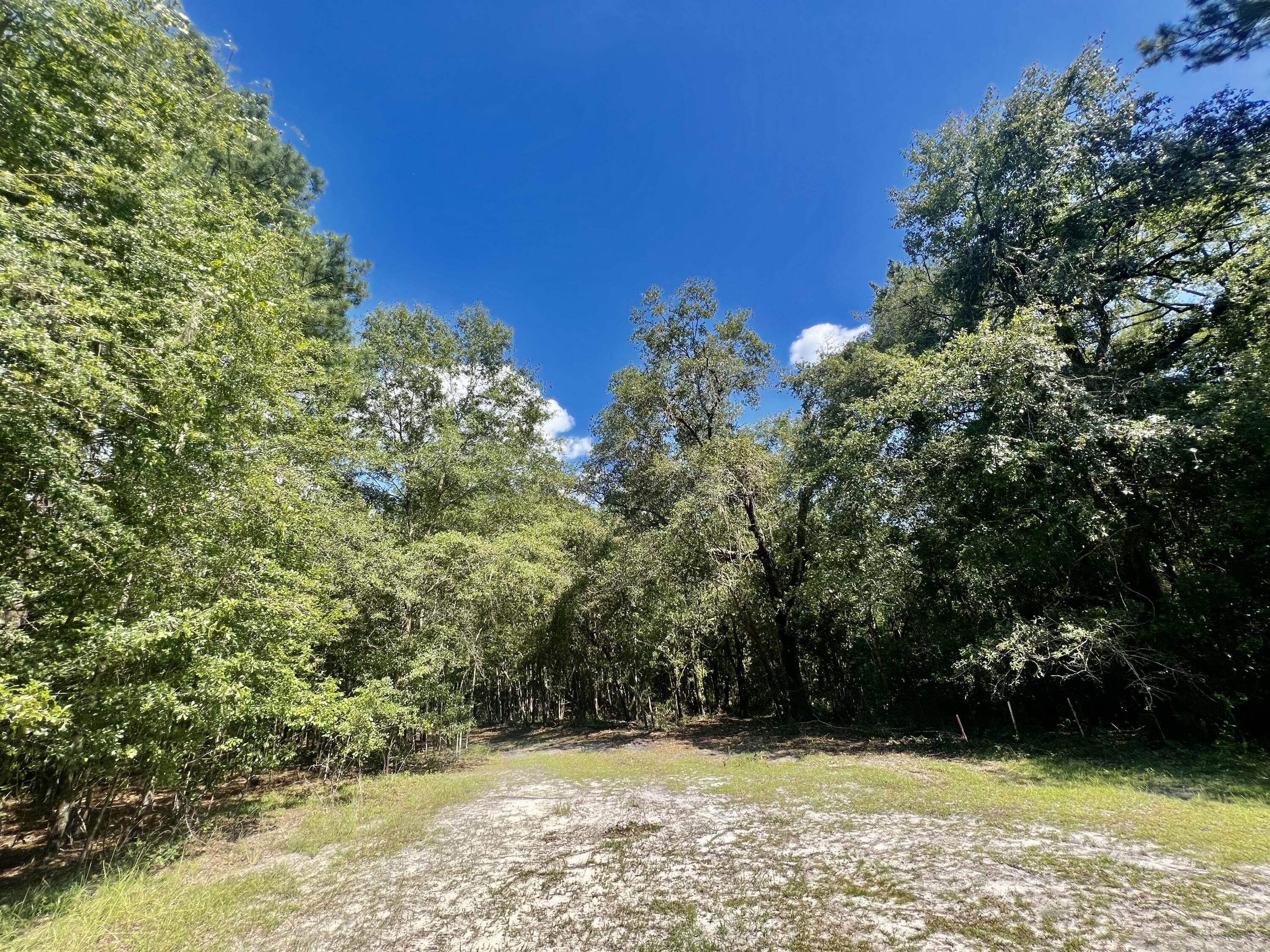 2 Evangelist Early Branch, SC 29916 - Photo 9 of 29 03C3EF95-9E1D-4AC5-8D2A-378CB07FEB60