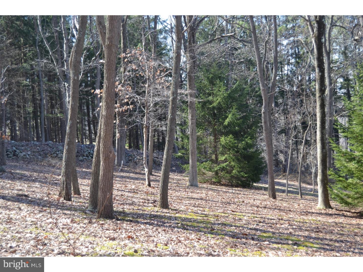 156 5 Points Road Barto, PA 19504 - Photo 13 of 25 Gallery Image 13