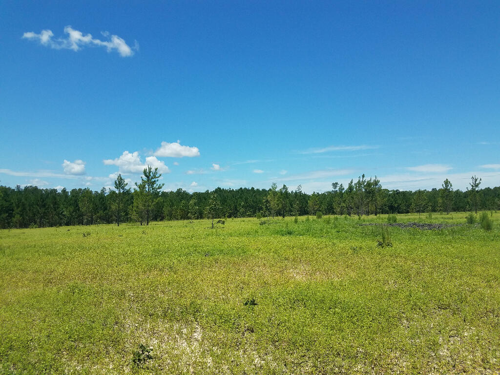 Tract A Jaywood Road Williston, SC 29853 - Photo 2 of 5