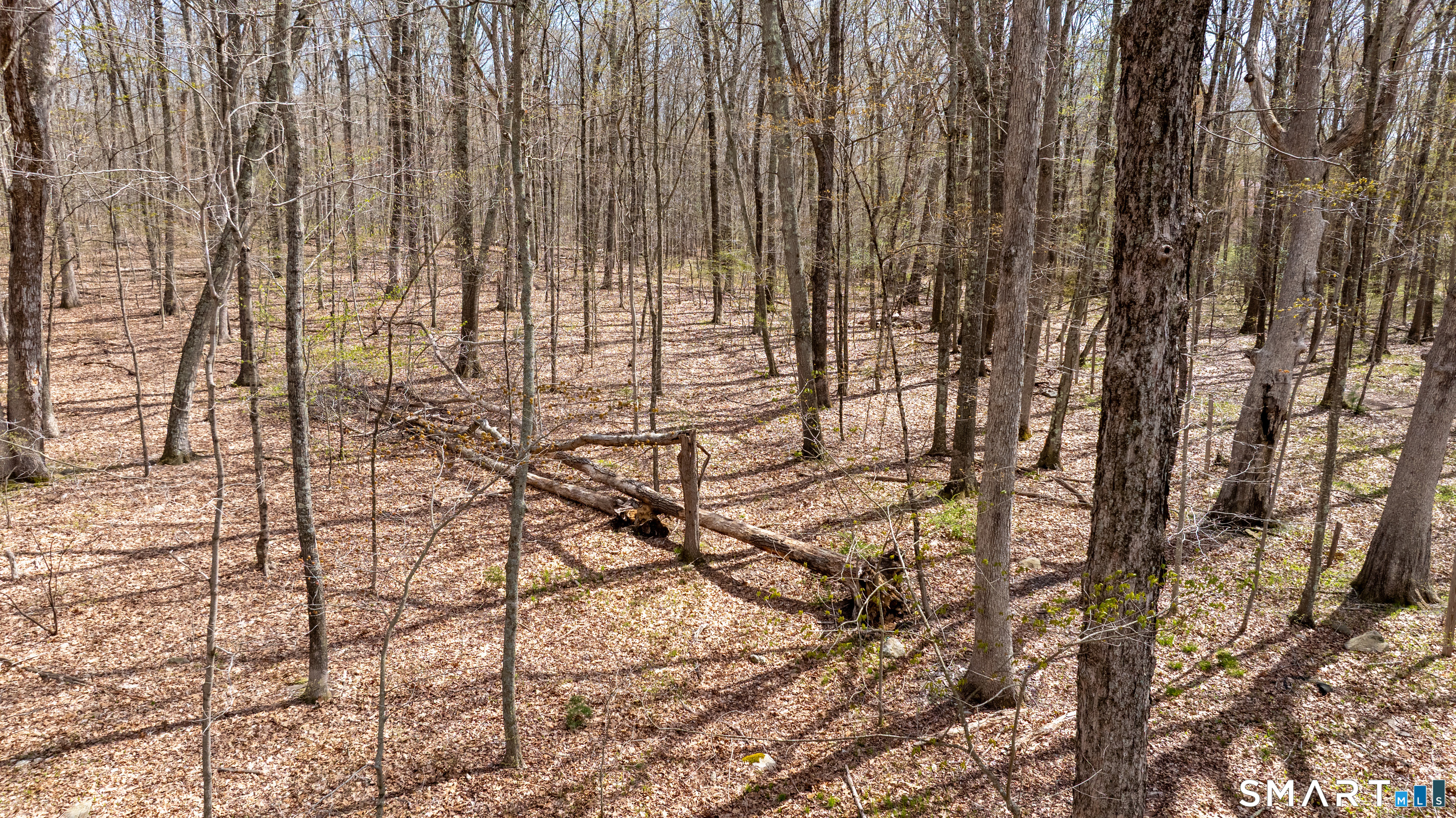 0 Cold Spring Road East Haddam, CT 06423 - Photo 11 of 14
