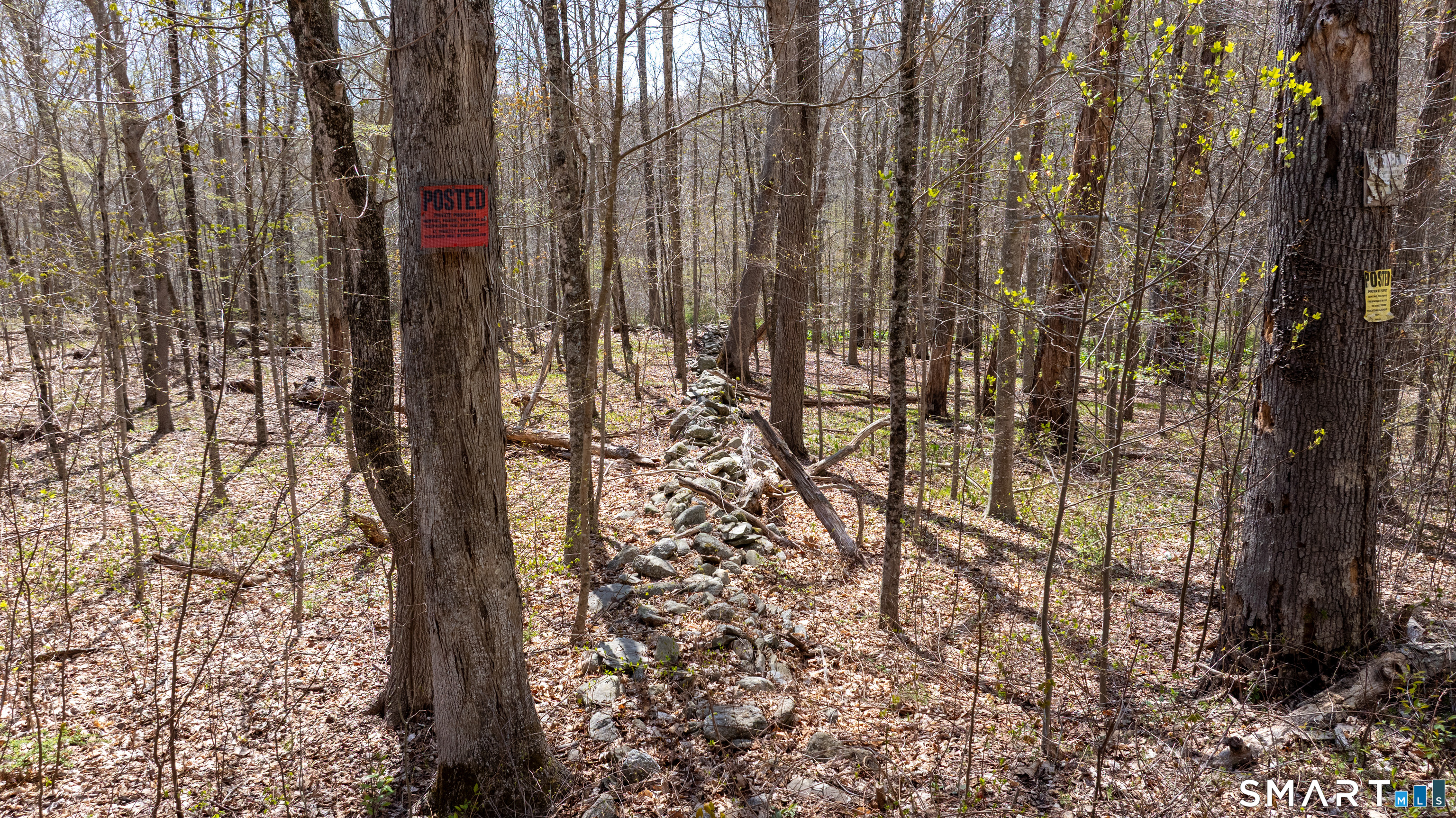 0 Cold Spring Road East Haddam, CT 06423 - Photo 12 of 14