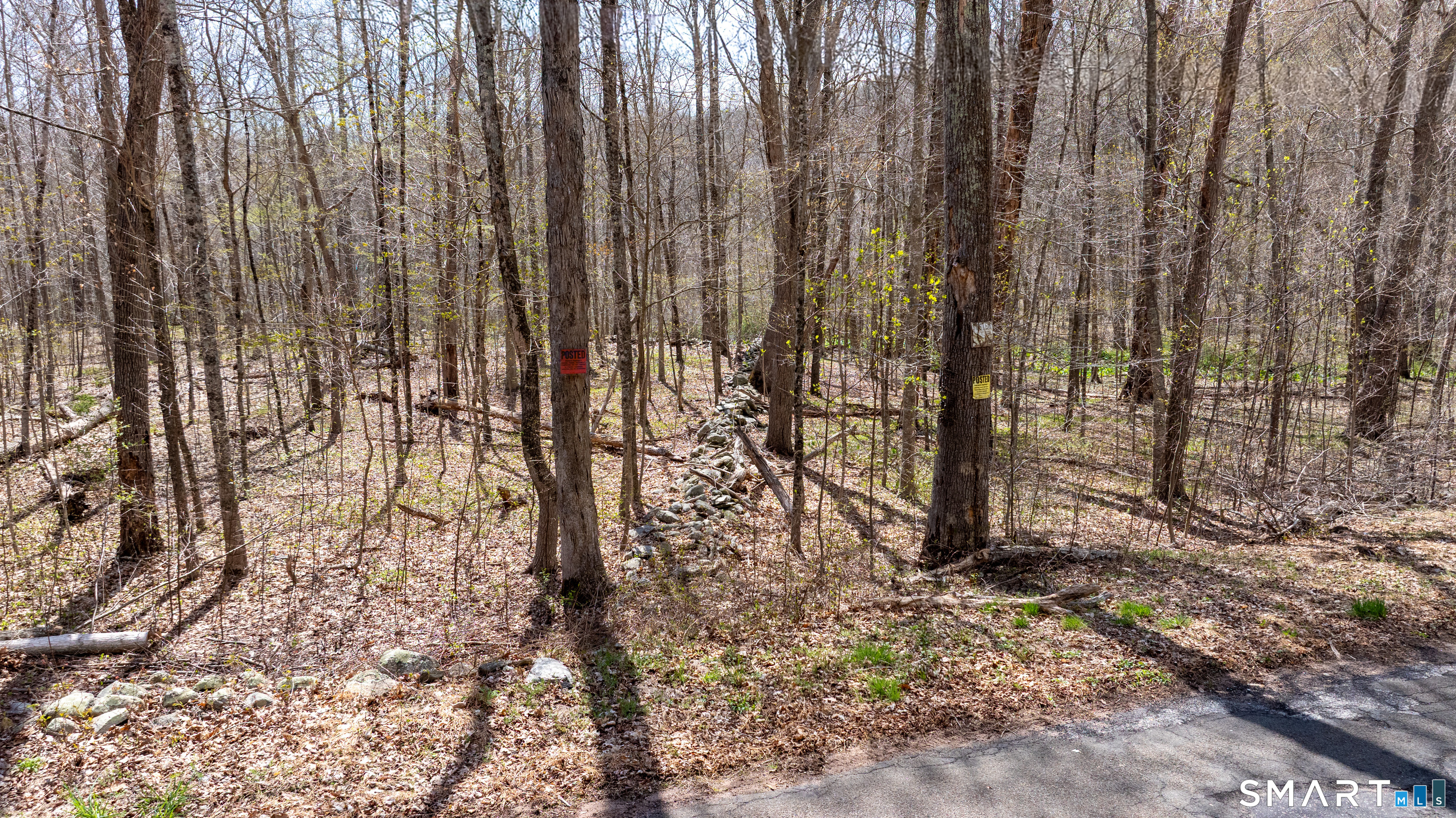 0 Cold Spring Road East Haddam, CT 06423 - Photo 13 of 14