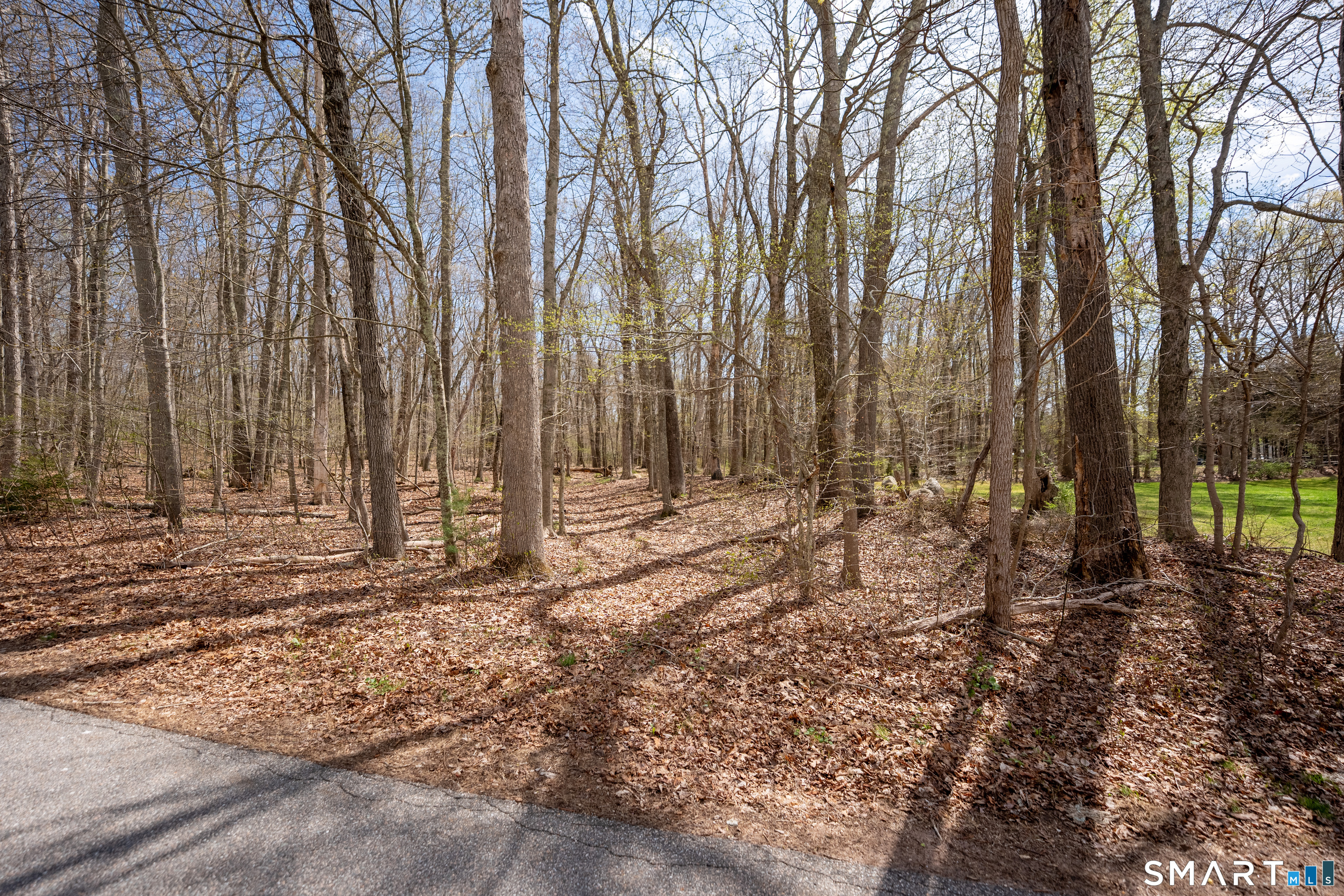 0 Cold Spring Road East Haddam, CT 06423 - Photo 4 of 14 2355' of Road Frontage