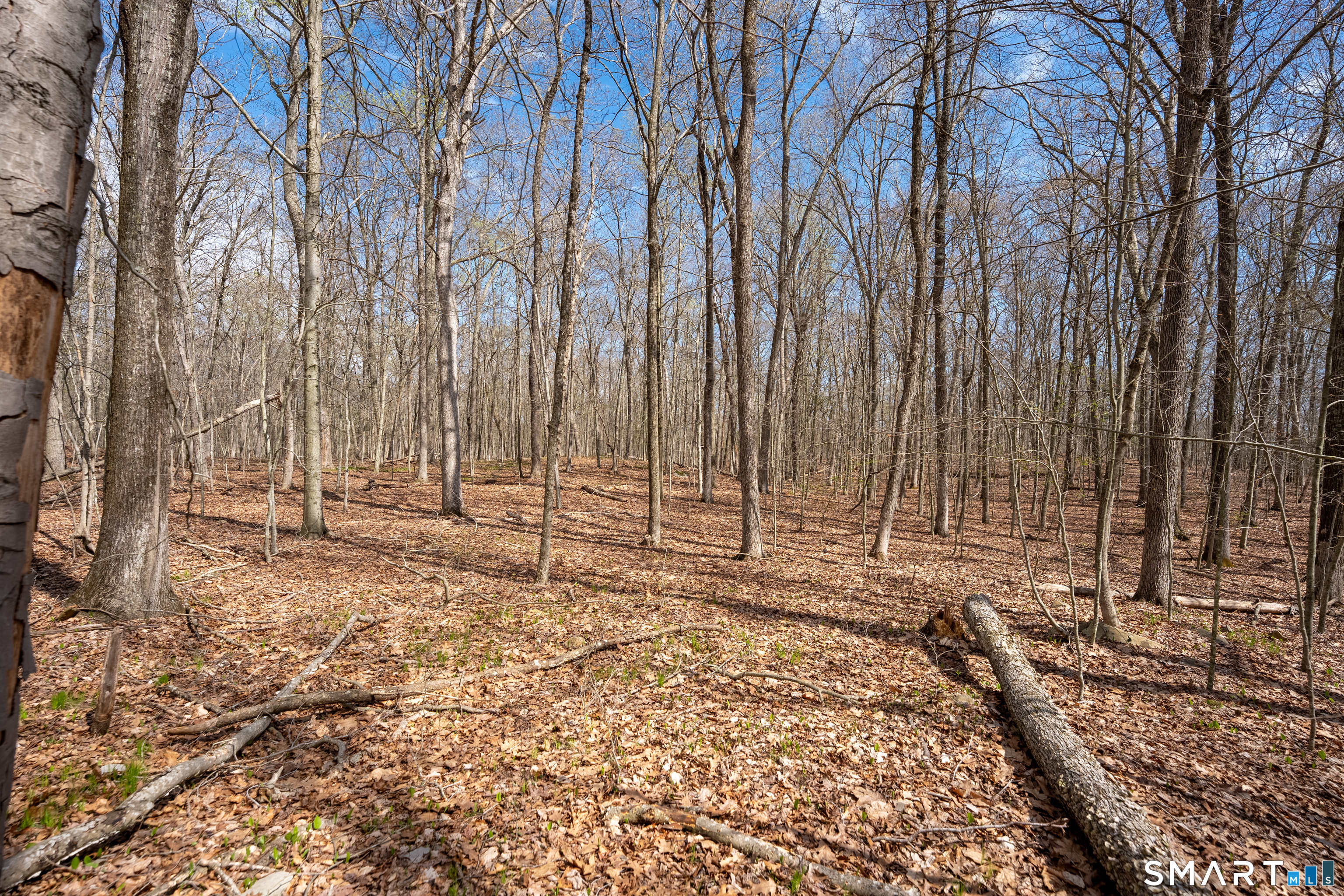 0 Cold Spring Road East Haddam, CT 06423 - Photo 5 of 14