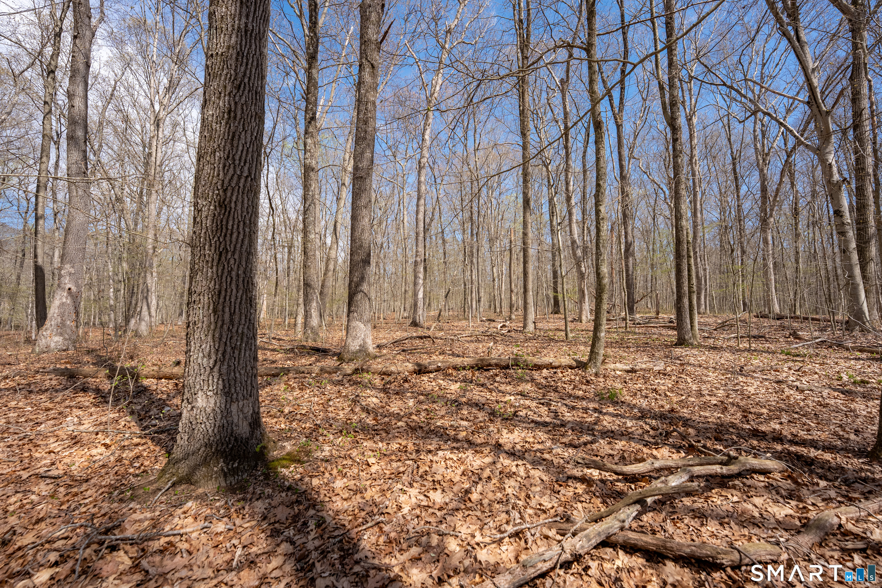 0 Cold Spring Road East Haddam, CT 06423 - Photo 6 of 14
