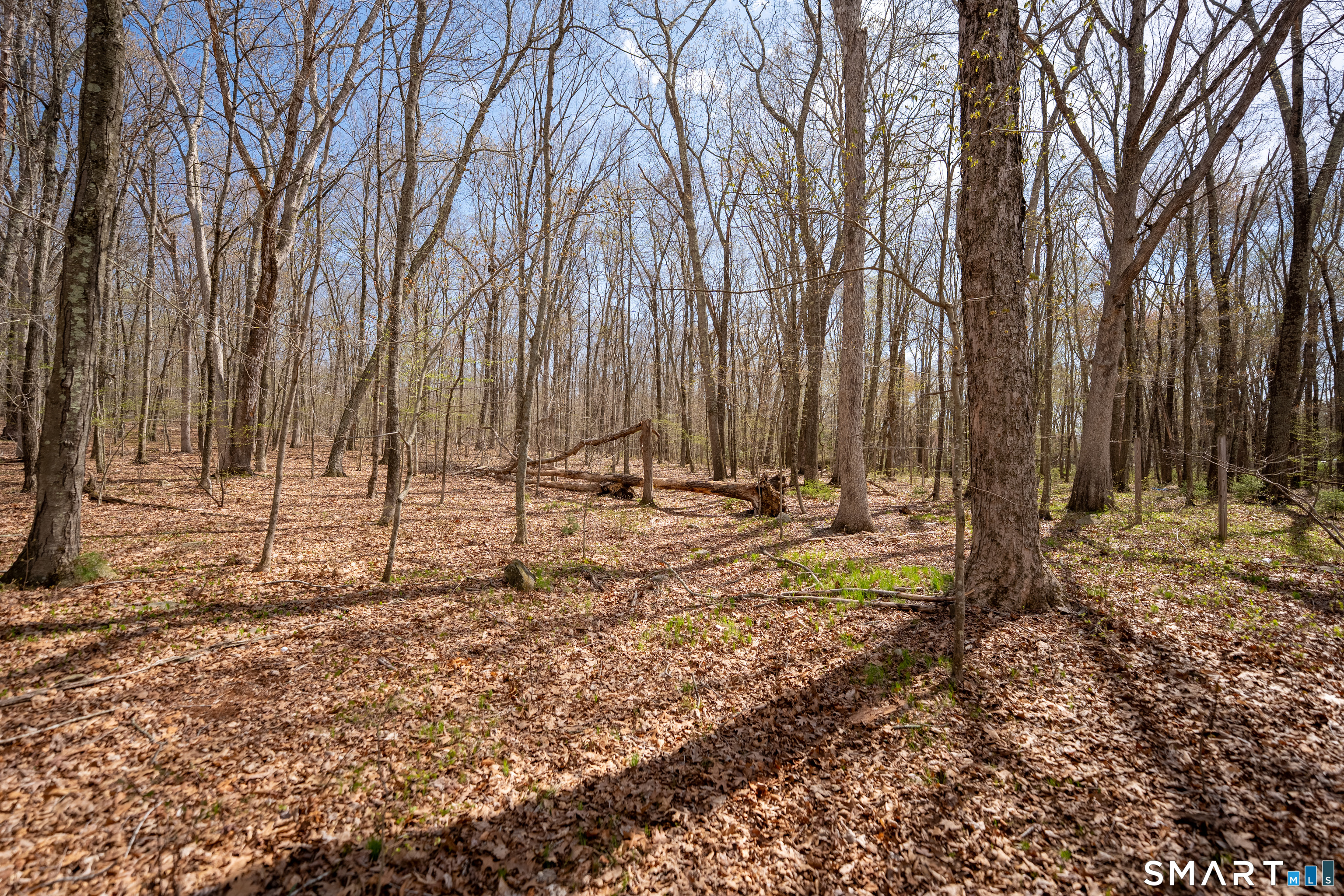 0 Cold Spring Road East Haddam, CT 06423 - Photo 8 of 14