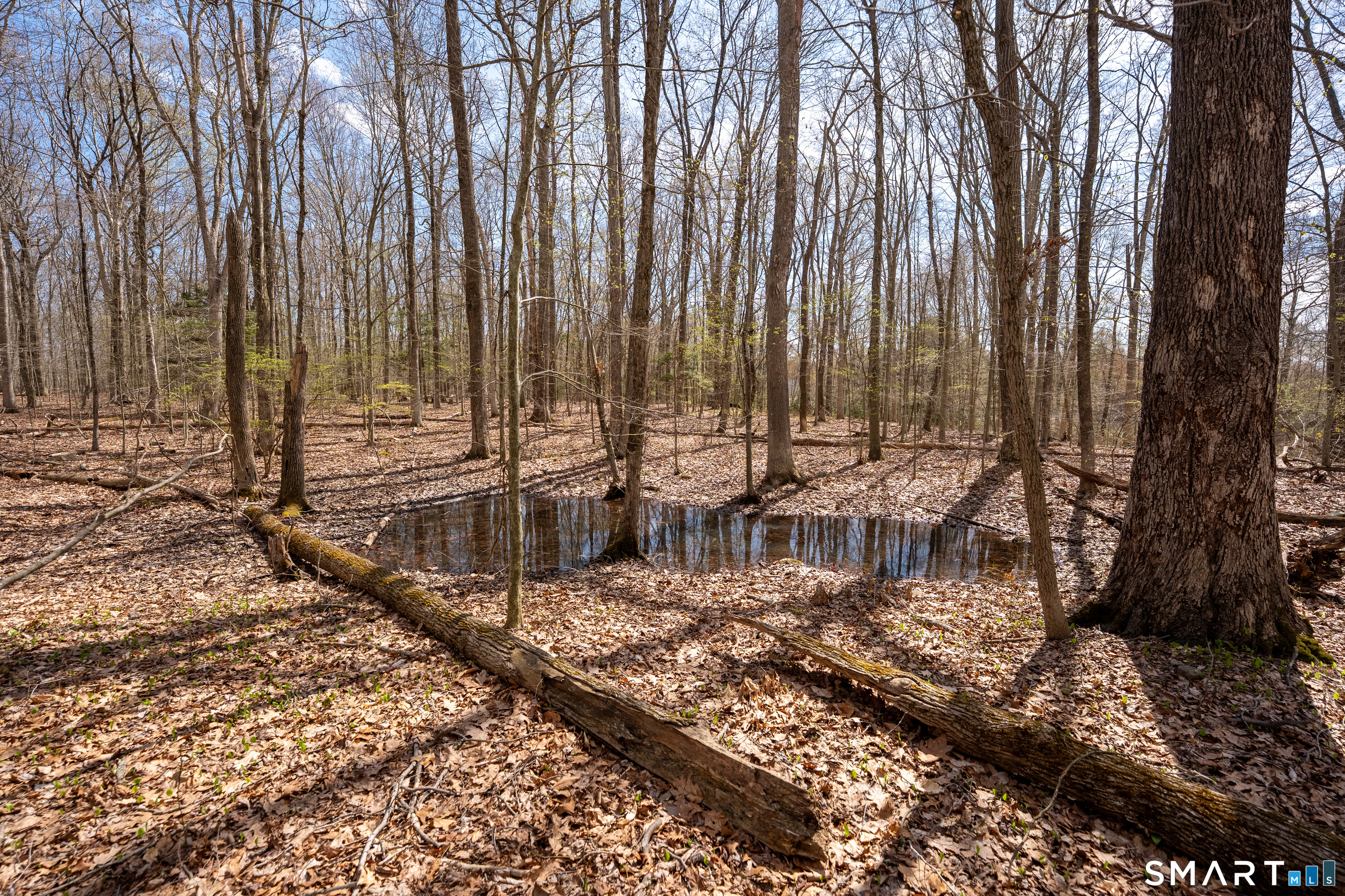 0 Cold Spring Road East Haddam, CT 06423 - Photo 9 of 14