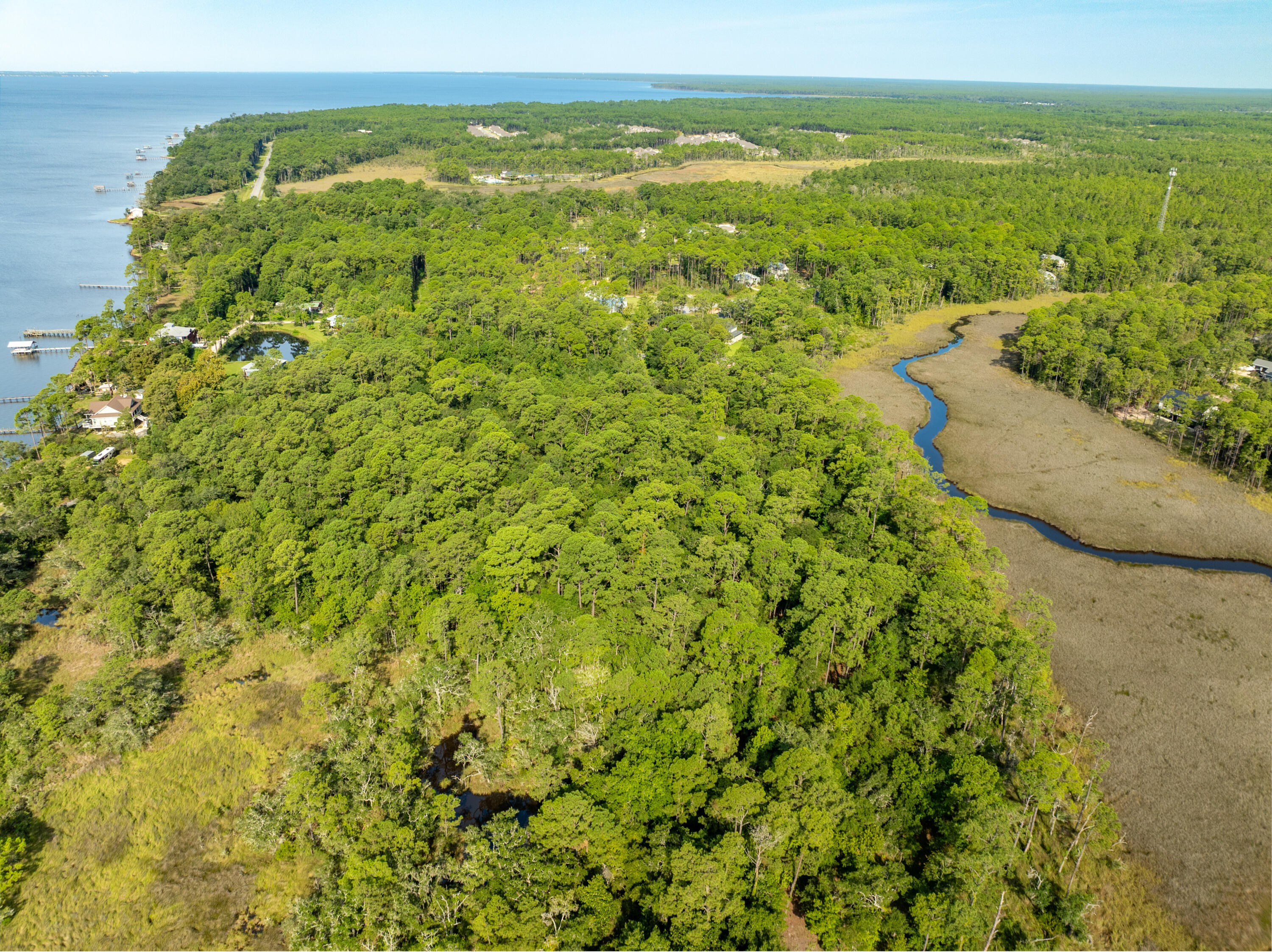 16-acres Beatrice Point Road Freeport, FL 32439 - Photo 23 of 37 a view of a green field with an ocean view