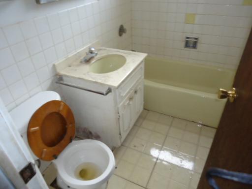 6834 West Lode Drive, Unit 1B Worth, IL 60482 - Photo 2 of 6 a bathroom with a sink a toilet and bathtub
