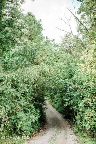 $6,750,000 | 8413 McCubbins Lane, Knoxville, TN 37924