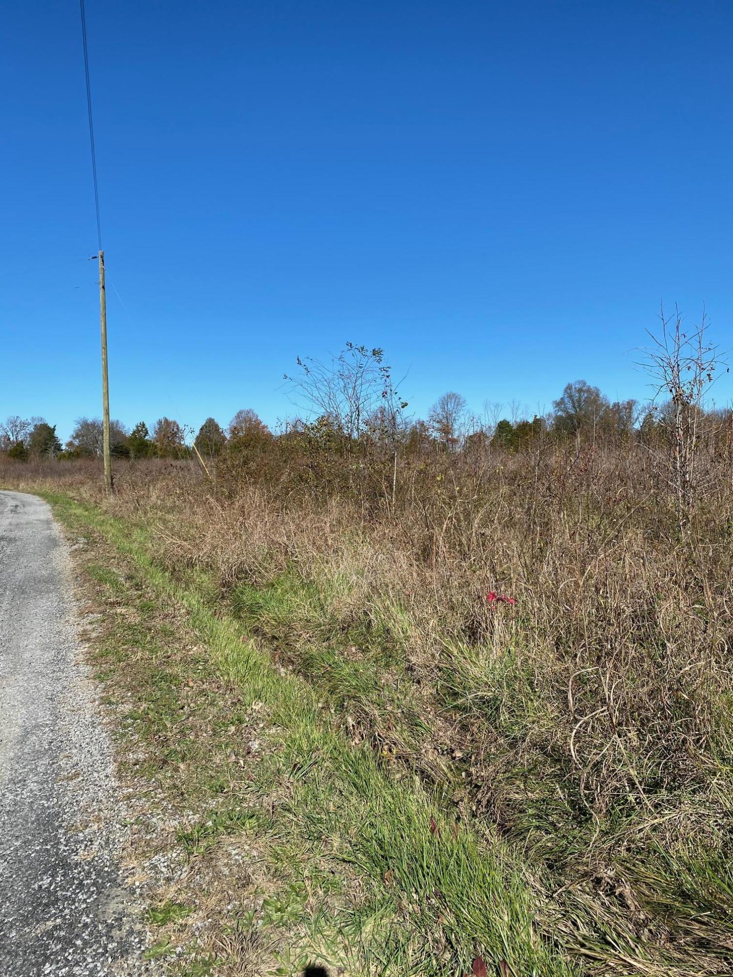 Chambers Road Sweetwater, TN 37874 - Photo 1 of 4 IMG_2917