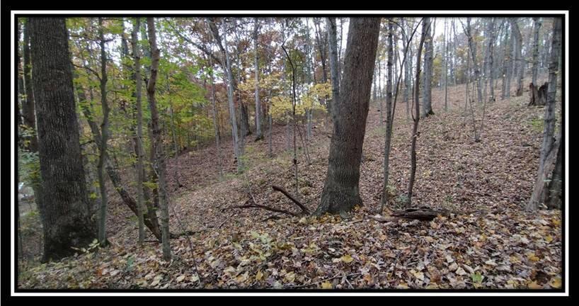 2169 Mohawk Coal Road Wellston, OH 45692 - Photo 48 of 58 image048