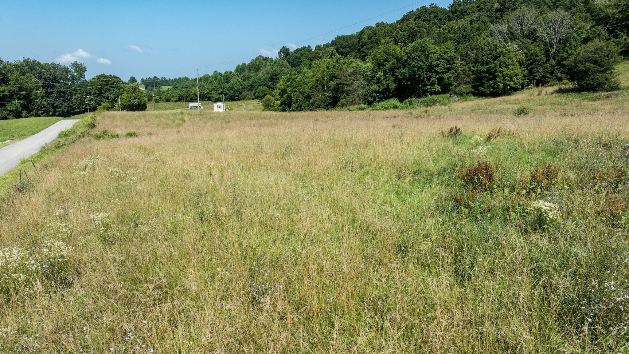 306 Godbey Road Bethelridge, KY 42516 - Photo 74 of 81 89-web-or-mls-Bethelridge-089