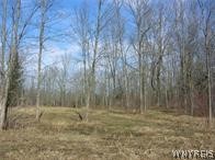 4455 South Ayers Road Newstead, NY 14001 - Photo 1 of 1
