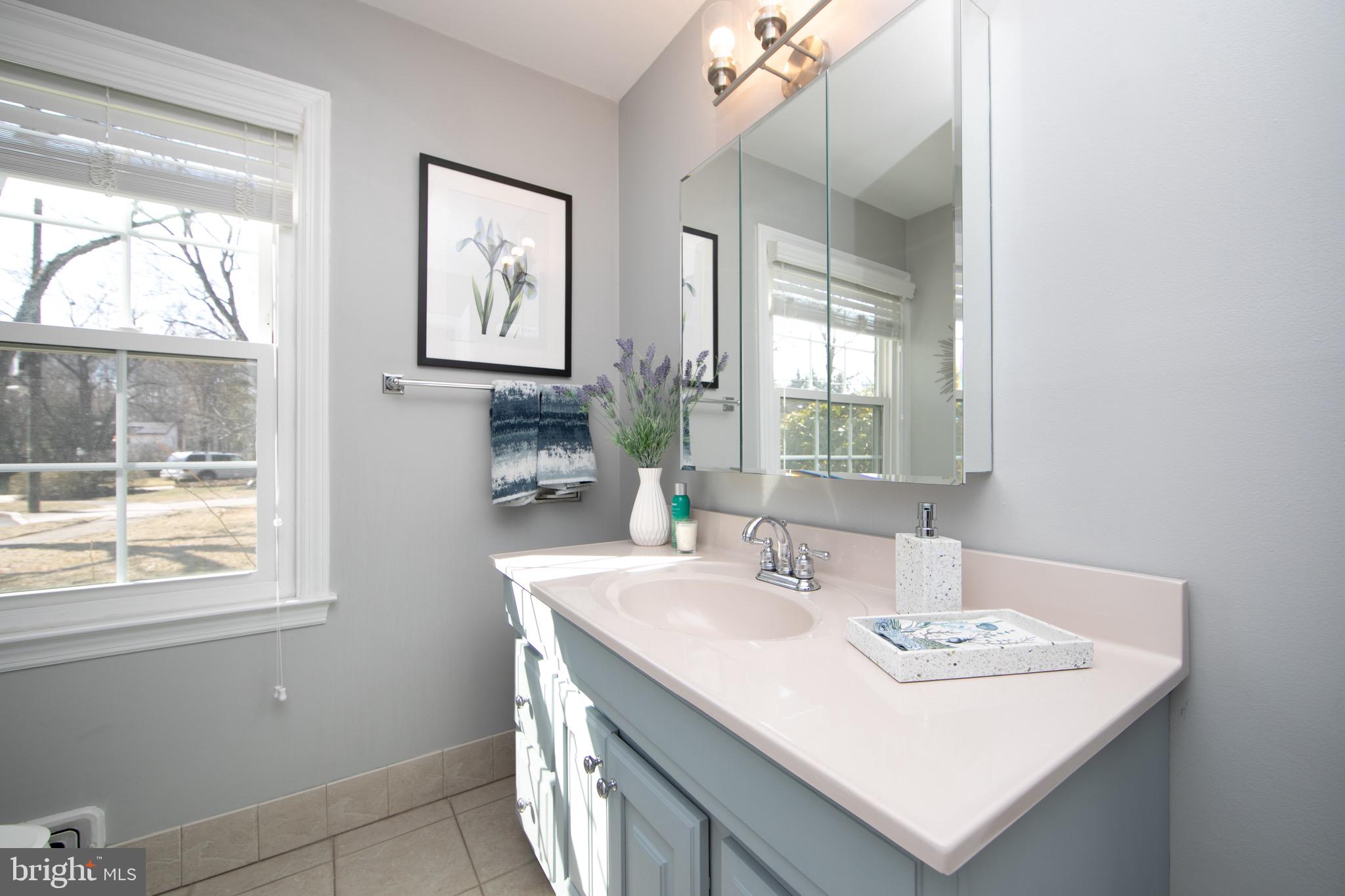 526 Covered Bridge Road Cherry Hill, NJ 08034 - Photo 25 of 40 Bathroom
