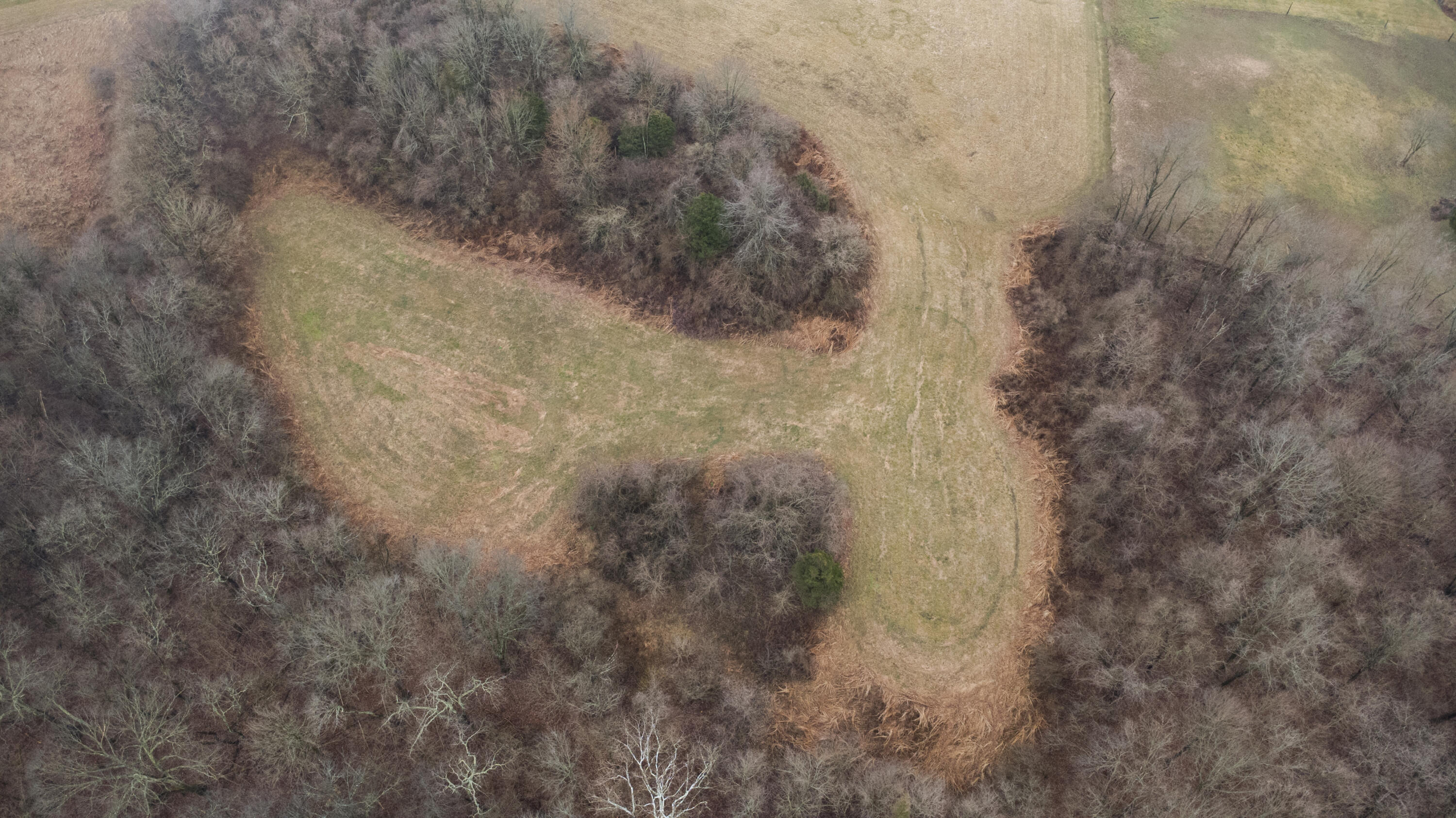 7812 East Bend Road Burlington, KY 41005 - Photo 23 of 47