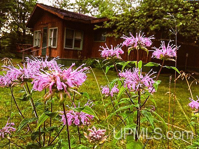 366 Cardinal Red Road Michigamme, MI 49861 - Photo 1 of 36