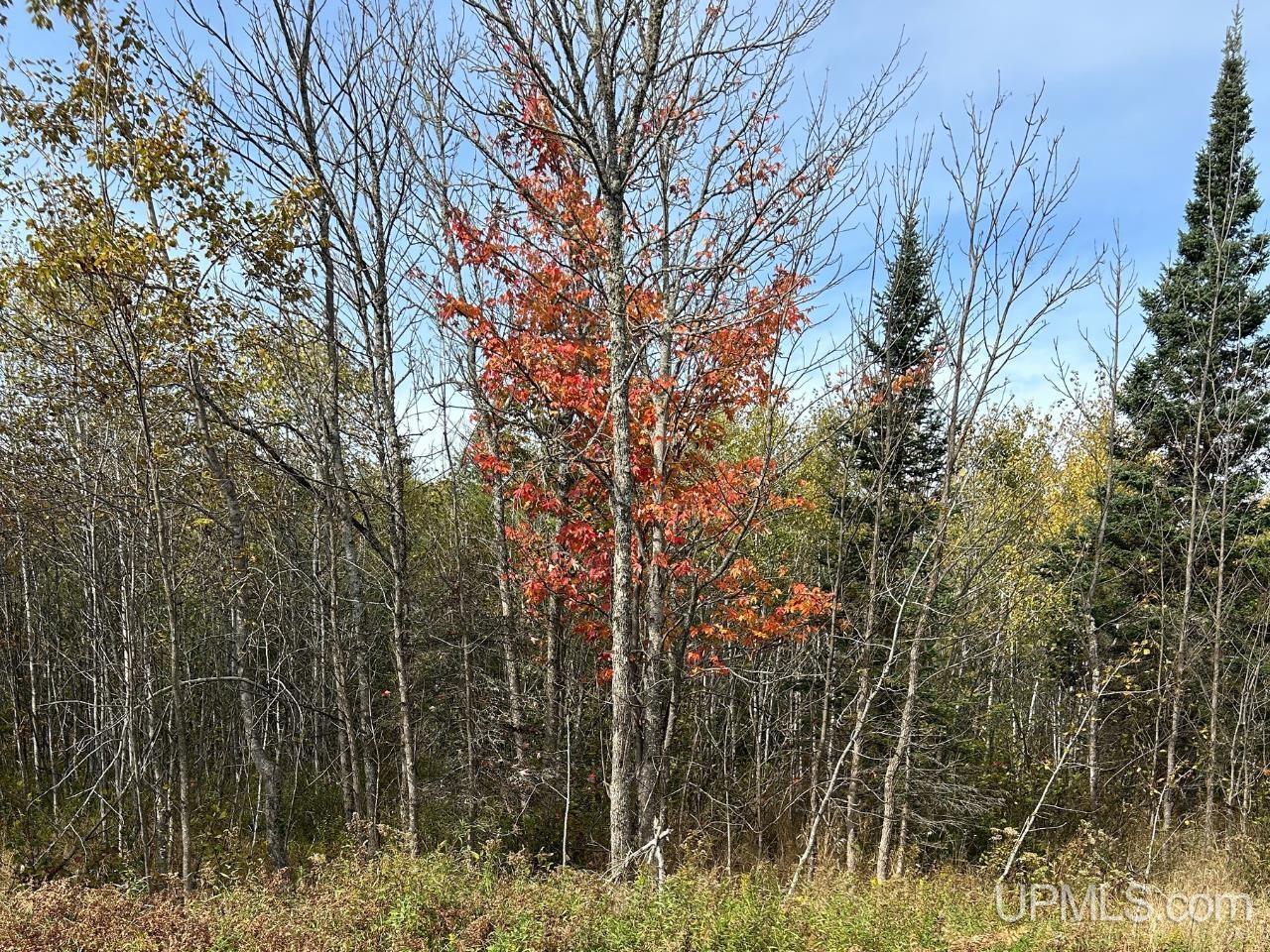 40-acres Way Dam Road Crystal Falls, MI 49920 - Photo 15 of 16