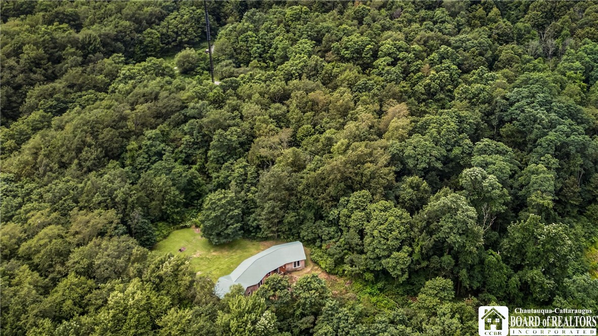 7883 Thayer Road Portland, NY 14769 - Photo 4 of 34 Gallery Image 4