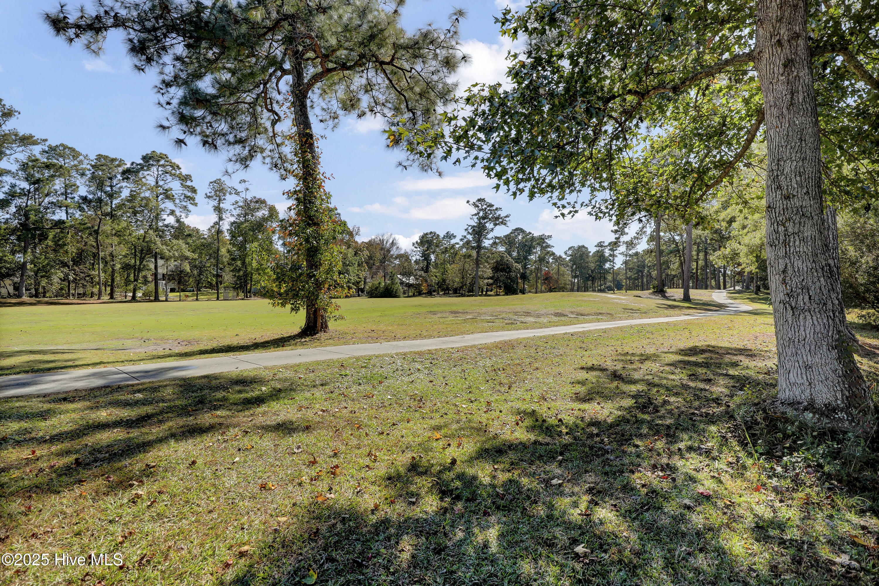 203 Golf Terrace Court Hampstead, NC 28443 - Photo 26 of 31 026_6g8a7410_643