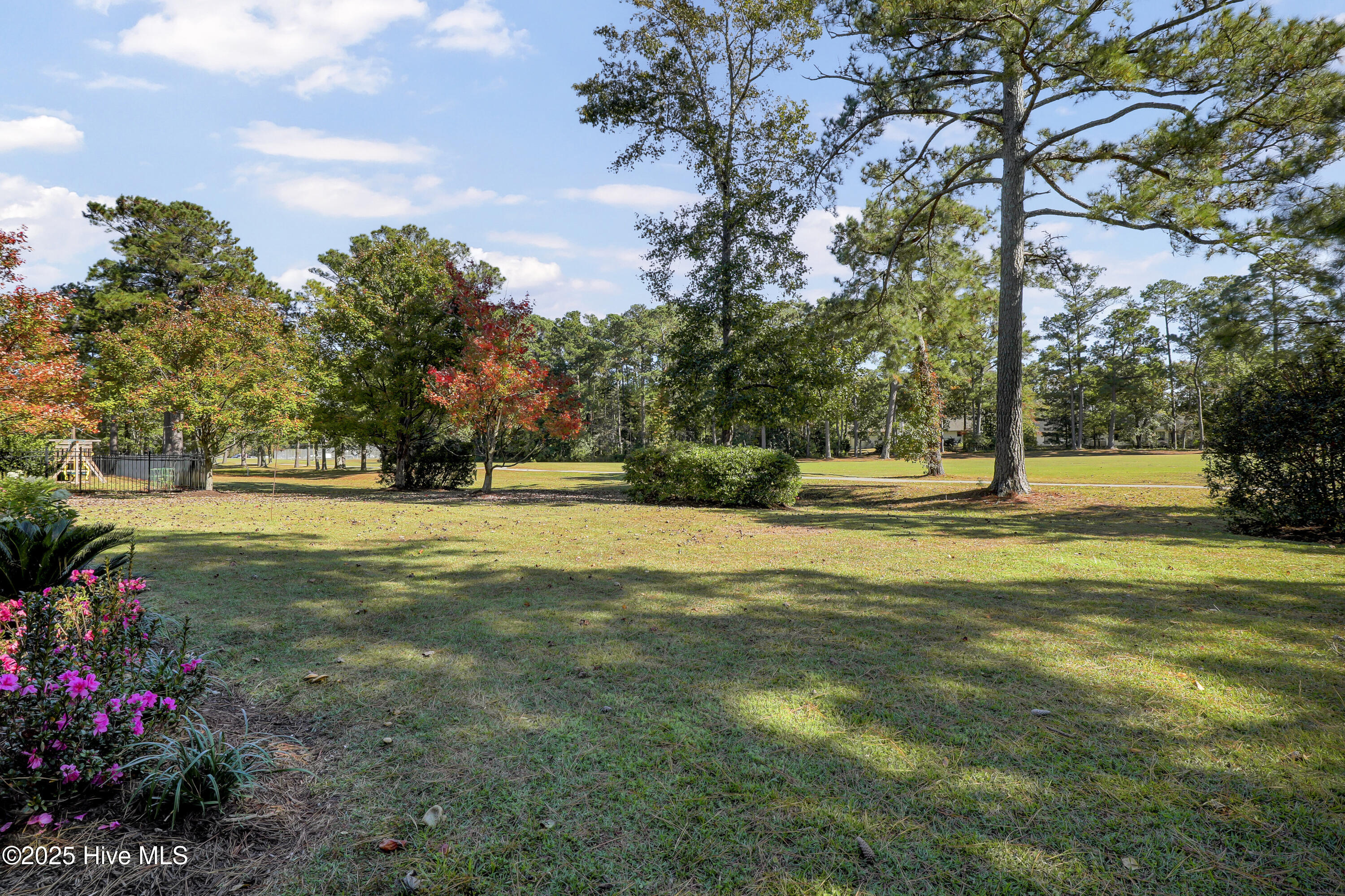 203 Golf Terrace Court Hampstead, NC 28443 - Photo 28 of 31 028_6g8a7419_395