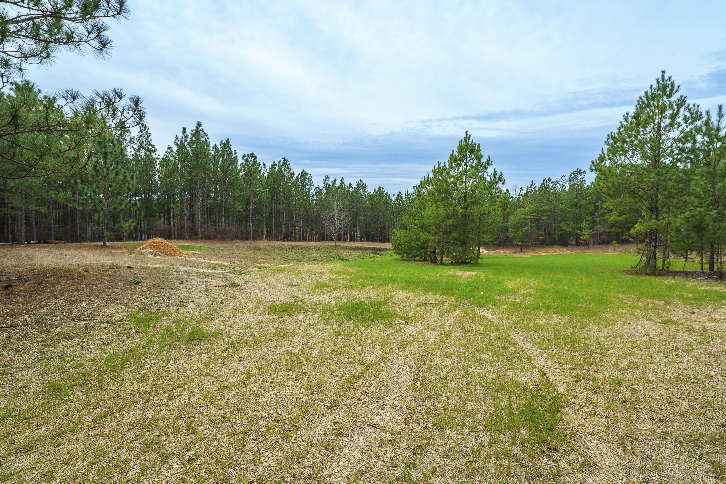 Lot 4-1 Simonside Court Aiken, SC 29803 - Photo 20 of 31