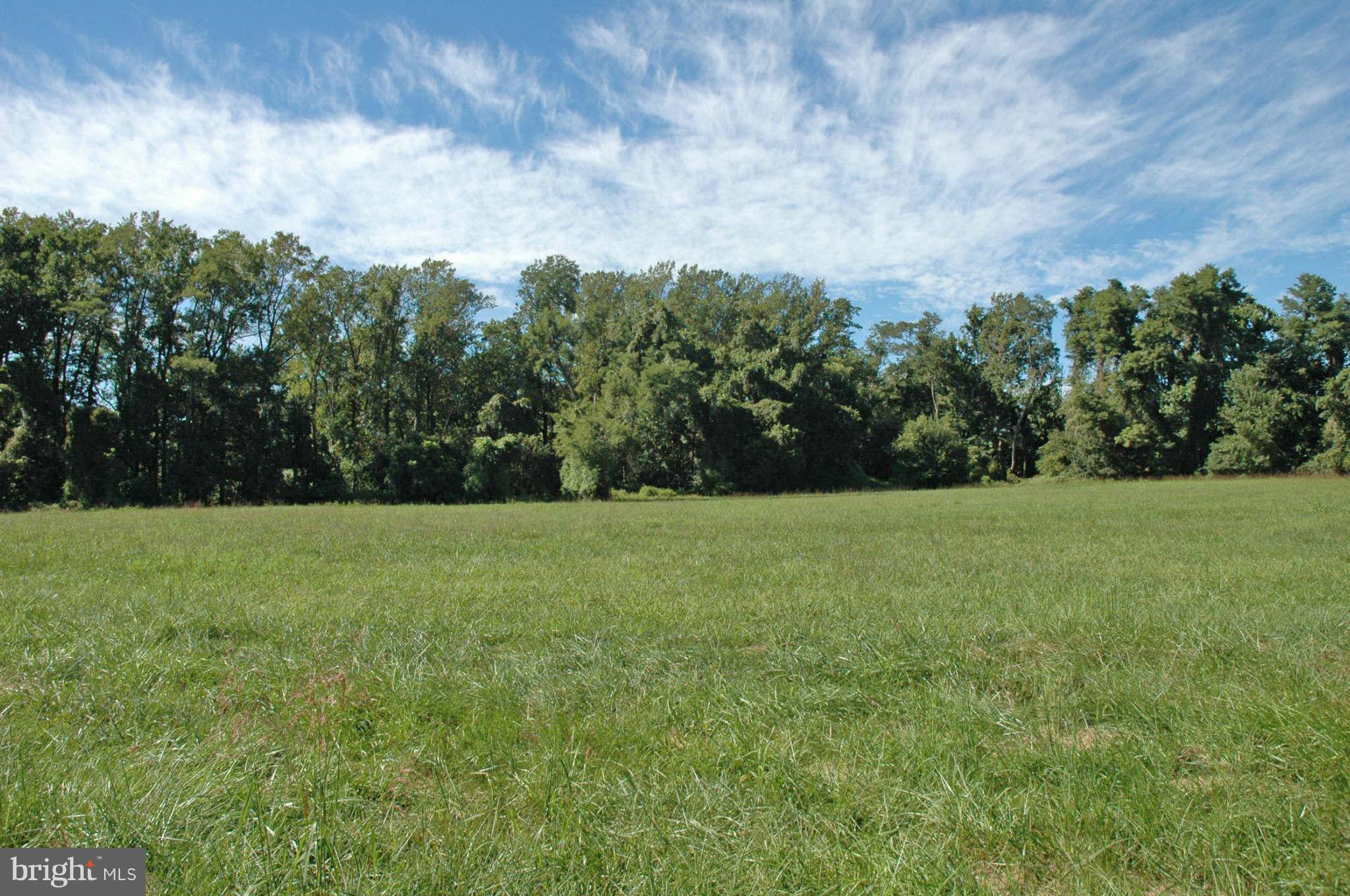 205 Stoney Battery Road Earleville, MD 21919 - Photo 1 of 10 View