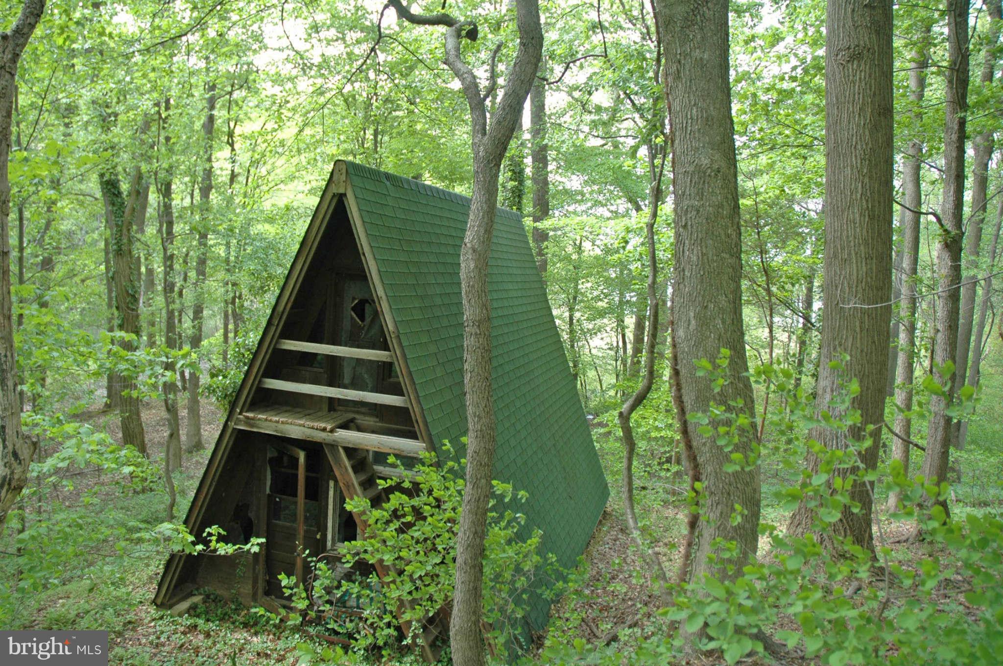 205 Stoney Battery Road Earleville, MD 21919 - Photo 3 of 10 Cabin by the water