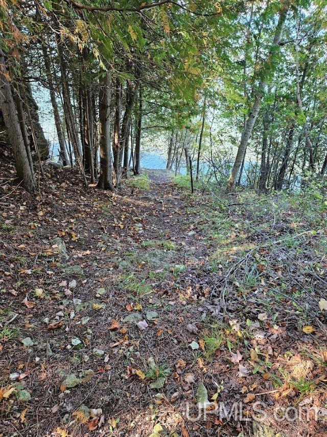5217 County Road 513 Road Rapid River, MI 49878 - Photo 18 of 29