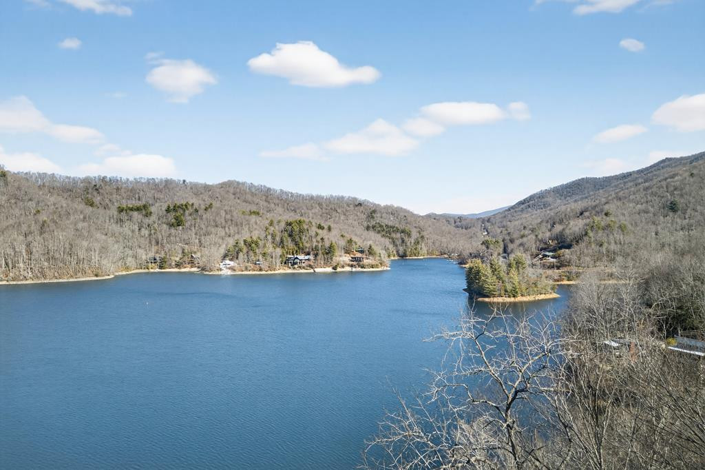 124 Mount Mariah Road Topton, NC 28781 - Photo 13 of 74