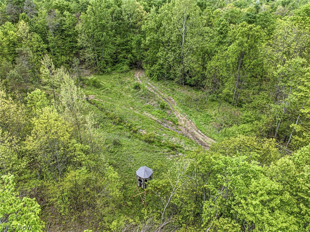 95-acres Newlon Road Malta, OH 43758 - Photo 14 of 18