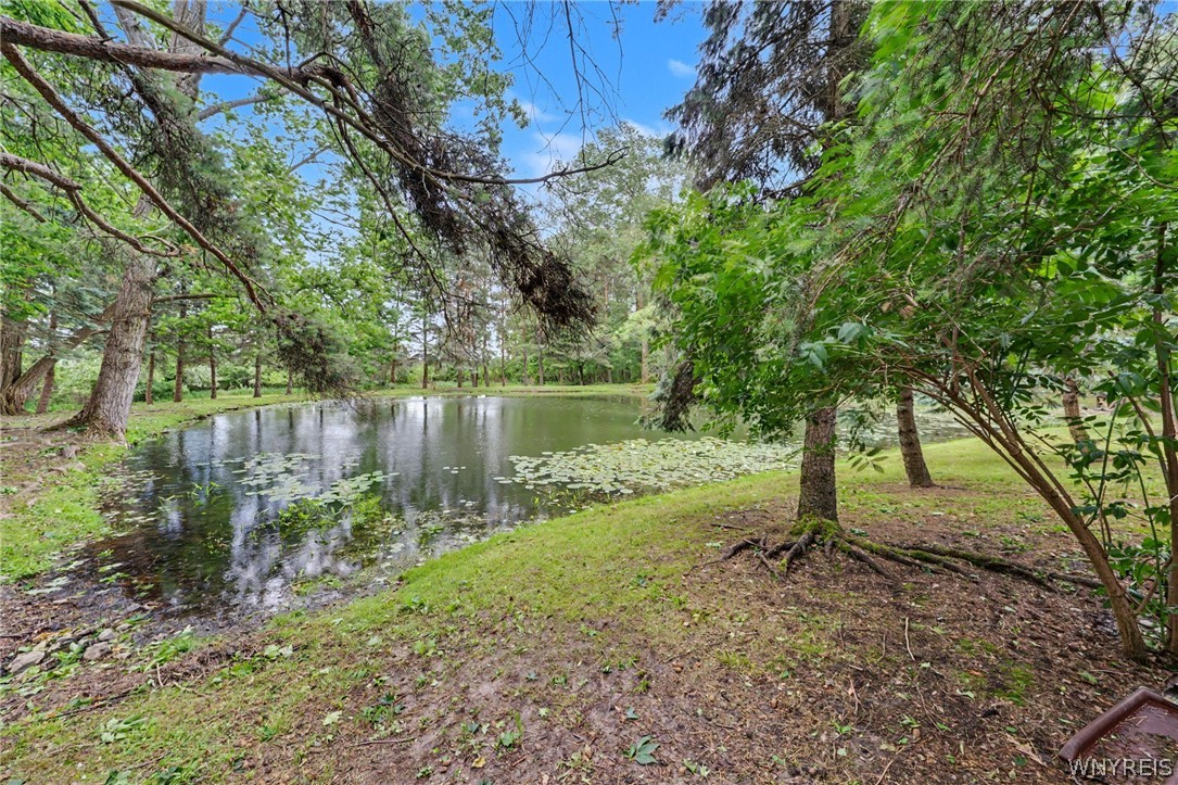 10985 Griswold Road Darien, NY 14040 - Photo 31 of 50