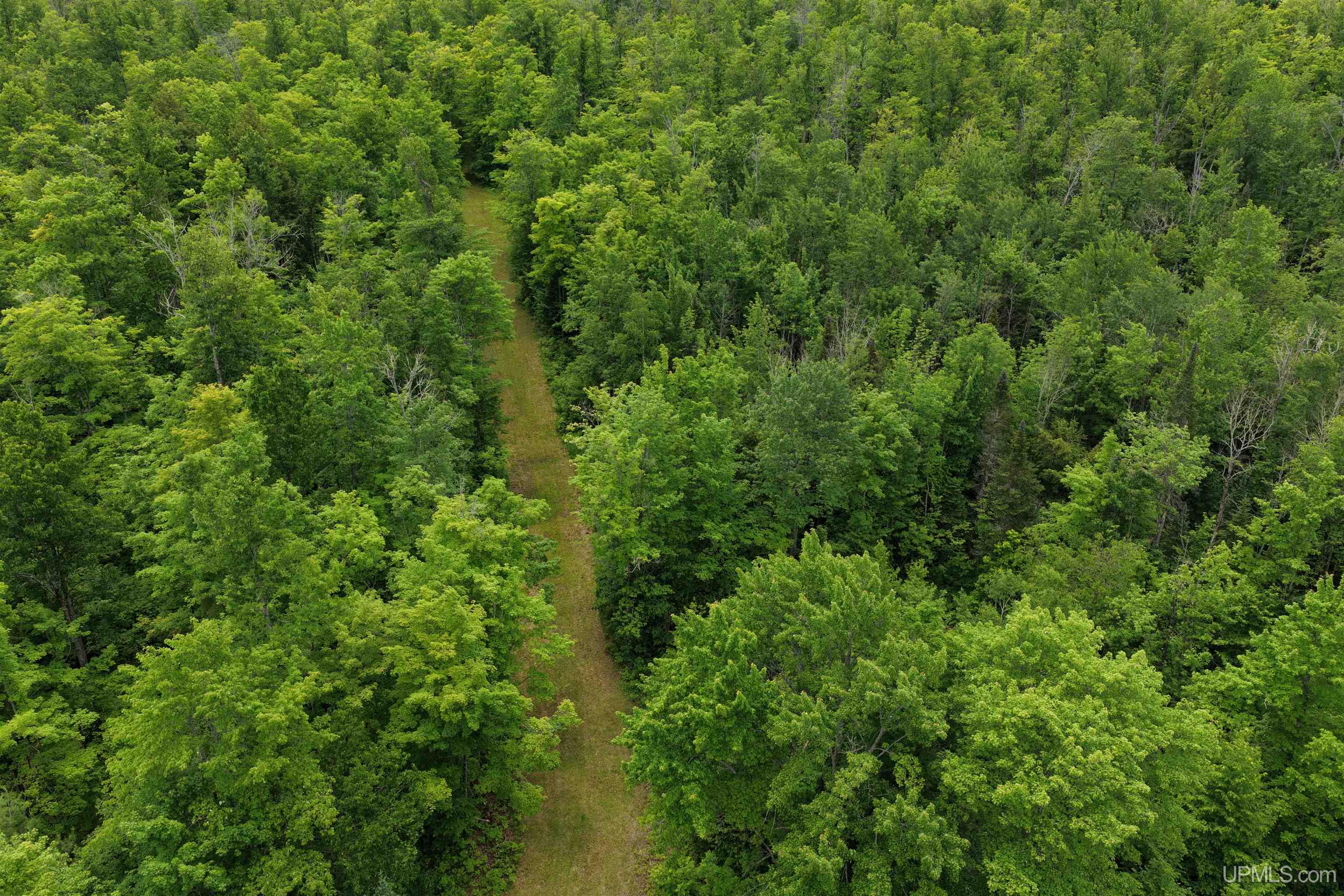 13419 Gauthier Road Bruce Crossing, MI 49912 - Photo 10 of 27