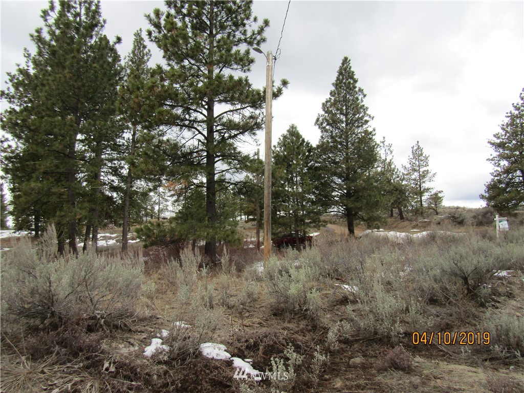 140 Falcon Ridge Road East Wenatchee, WA 98802 - Photo 8 of 10 Gallery Image 8