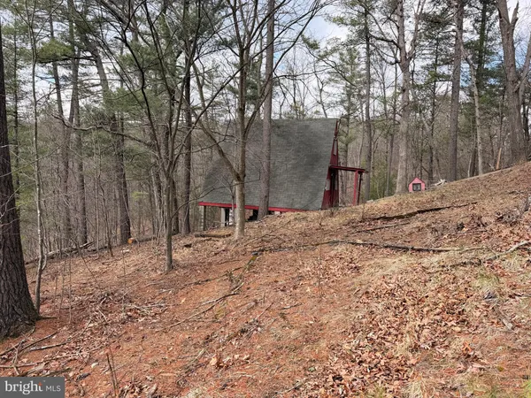 a view of a backyard of the house