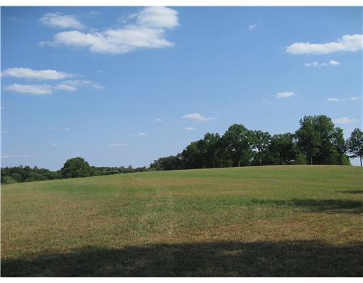 559 Backbone Road Sewickley Heights, PA 15143 - Photo 1 of 5 Land/Lot.