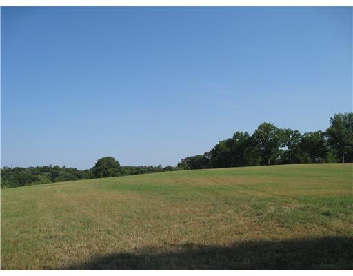 559 Backbone Road Sewickley Heights, PA 15143 - Photo 3 of 5 Land/Lot.