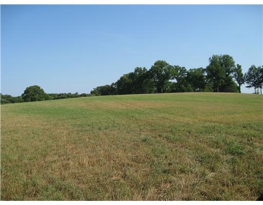 559 Backbone Road Sewickley Heights, PA 15143 - Photo 4 of 5 Land/Lot.