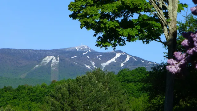 $3,300,000 | 1279 Old Bridgewater Hill Road, Bridgewater, VT 05035