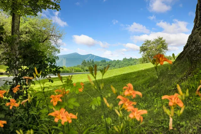 $3,300,000 | 1279 Old Bridgewater Hill Road, Bridgewater, VT 05035