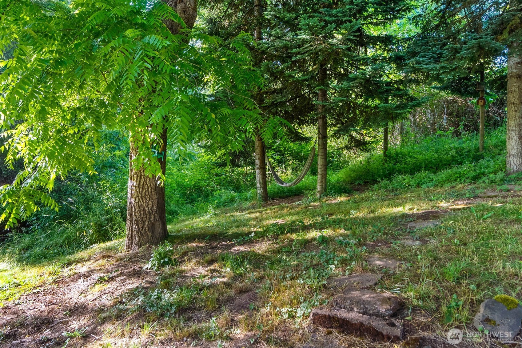 212 Cowlitz Road Winlock, WA 98596 - Photo 33 of 40