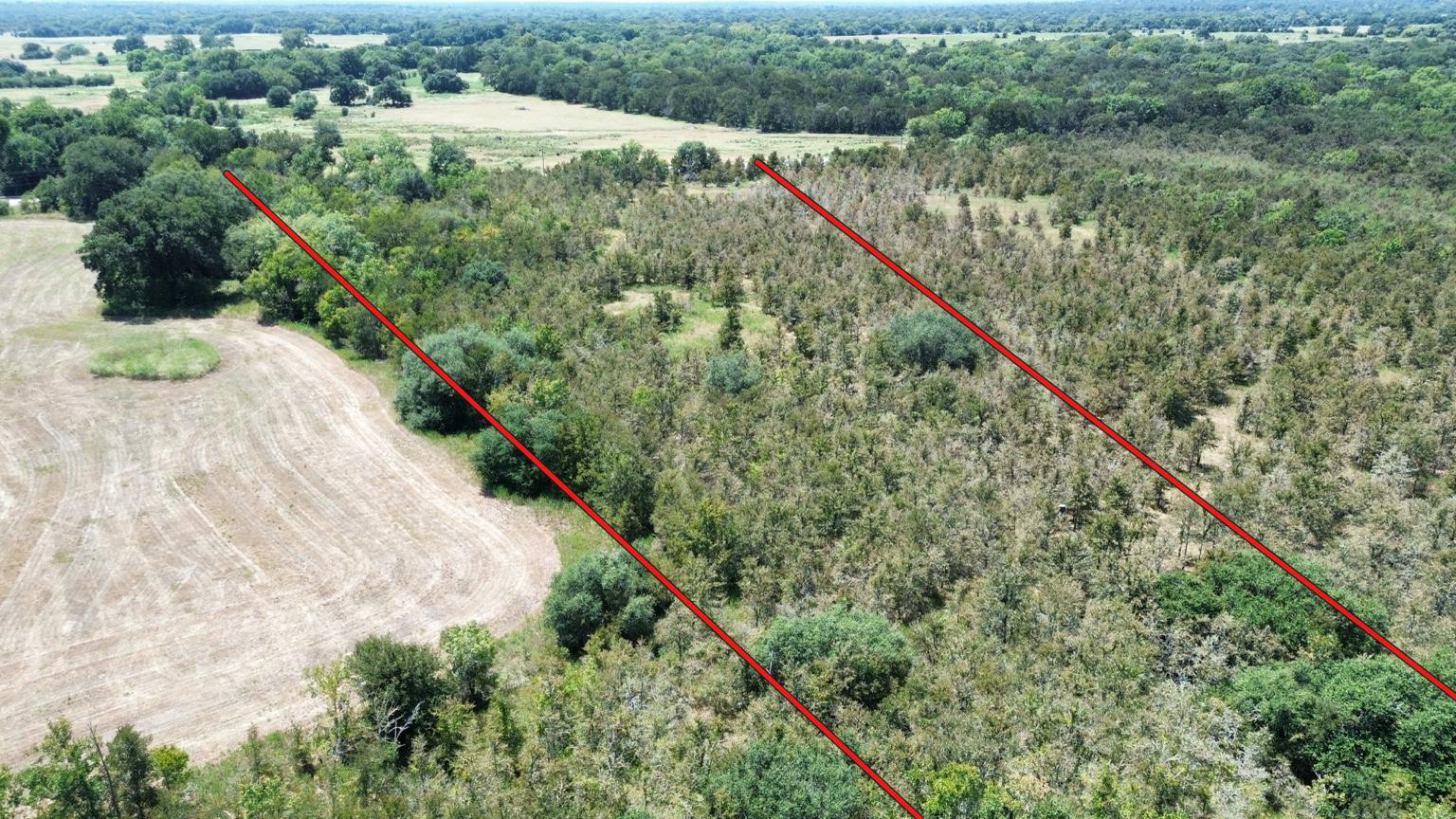 Fm Fm 141st Dime Box, TX 77853 - Photo 3 of 5 Lush woodlands and open meadows define this expansive rural acreage.