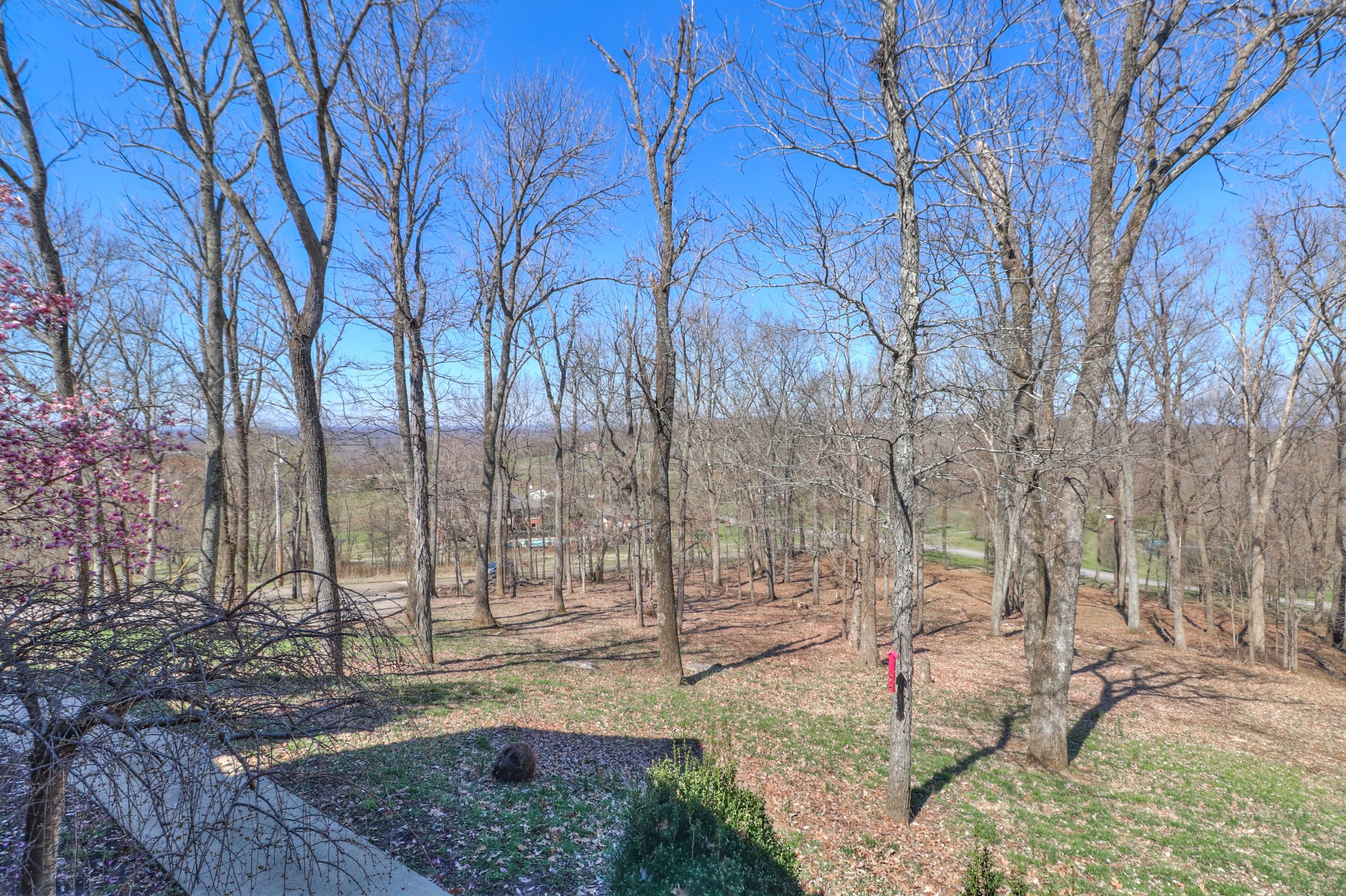 138 Lake Wood Road Lebanon, TN 37087 - Photo 42 of 43 Gallery Image 42