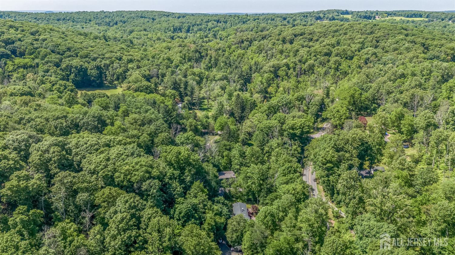 11 Pine Ridge Road Califon, NJ 07830 - Photo 50 of 51