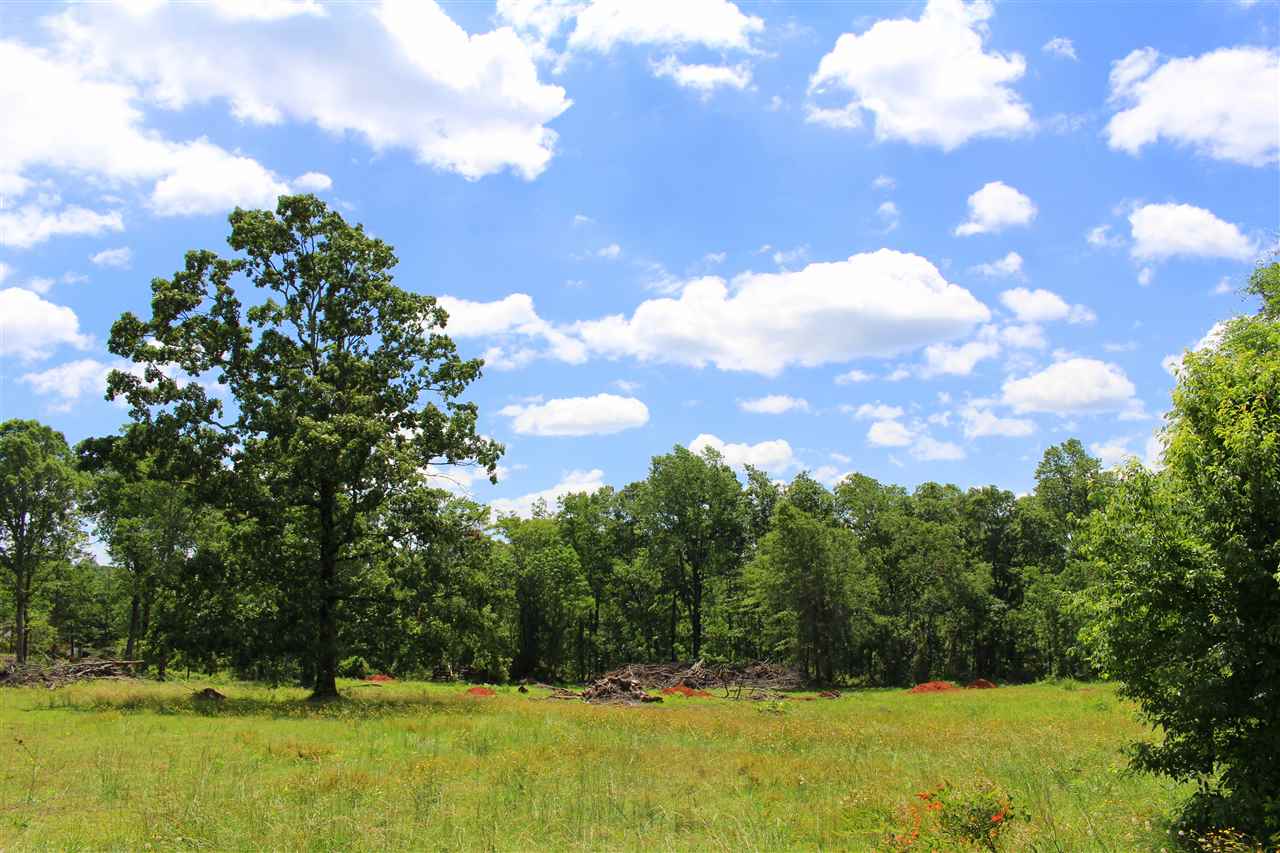 1541-1561 Ballenger Road Wellford, SC 29385 - Photo 4 of 8