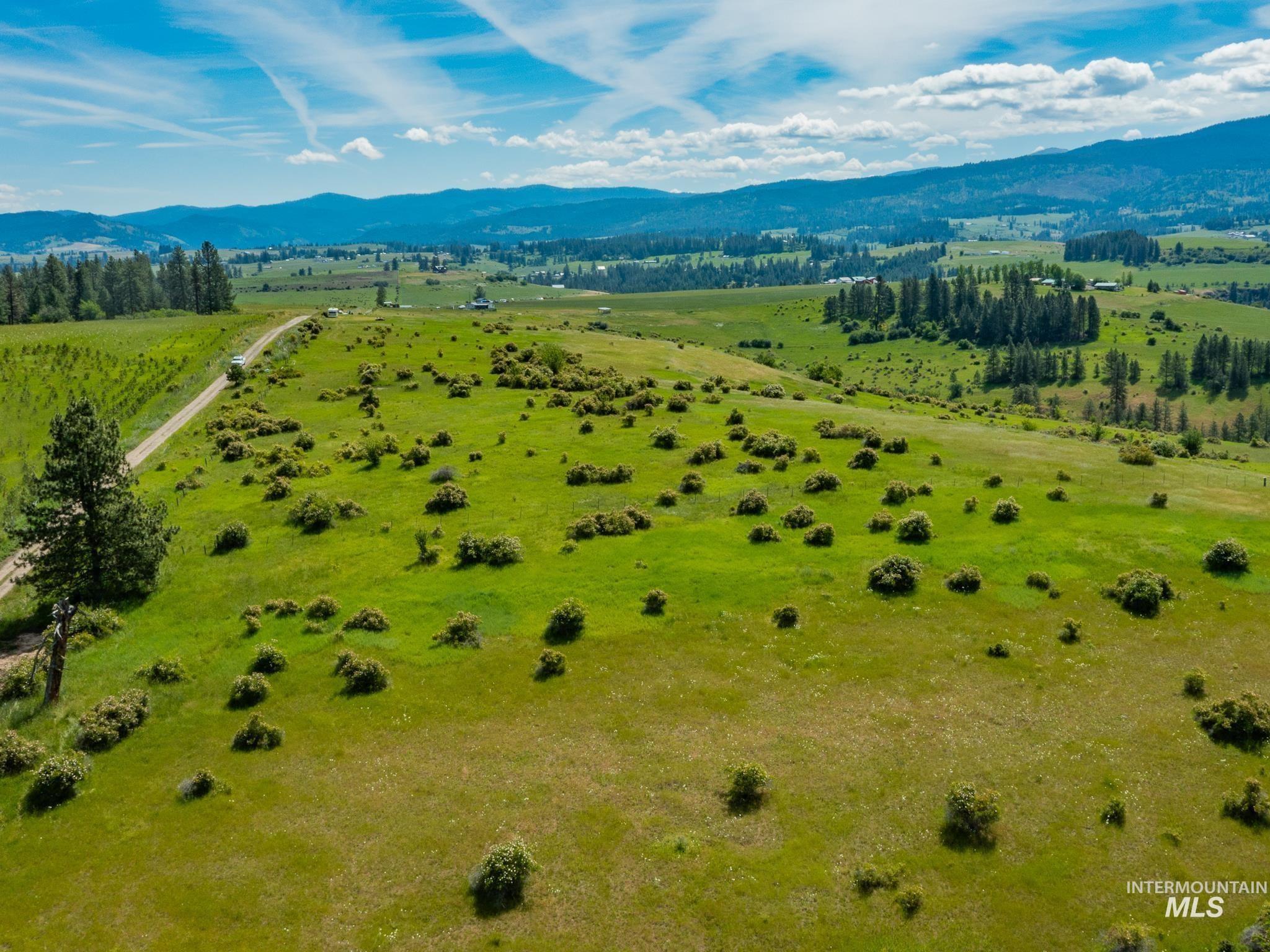 Tbd Brotnov Road Stites, ID 83552 - Photo 19 of 27 Gallery Image 19
