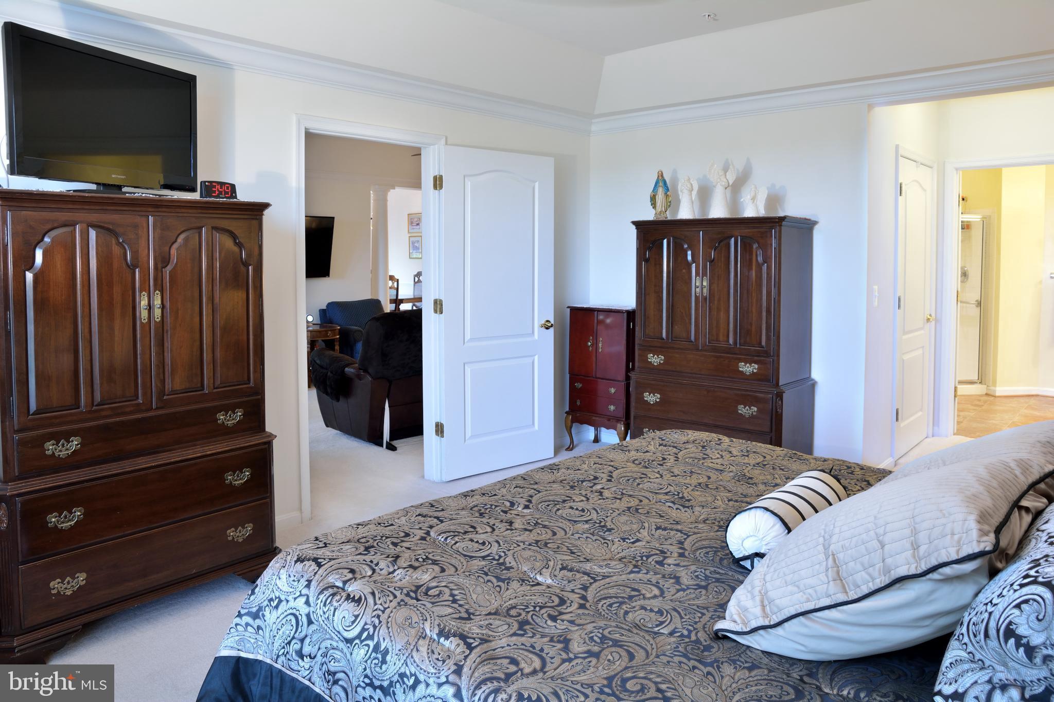 7305 Maplecrest Road, Unit 406 Elkridge, MD 21075 - Photo 17 of 26 Master Bedroom with view of Bath and Great Room