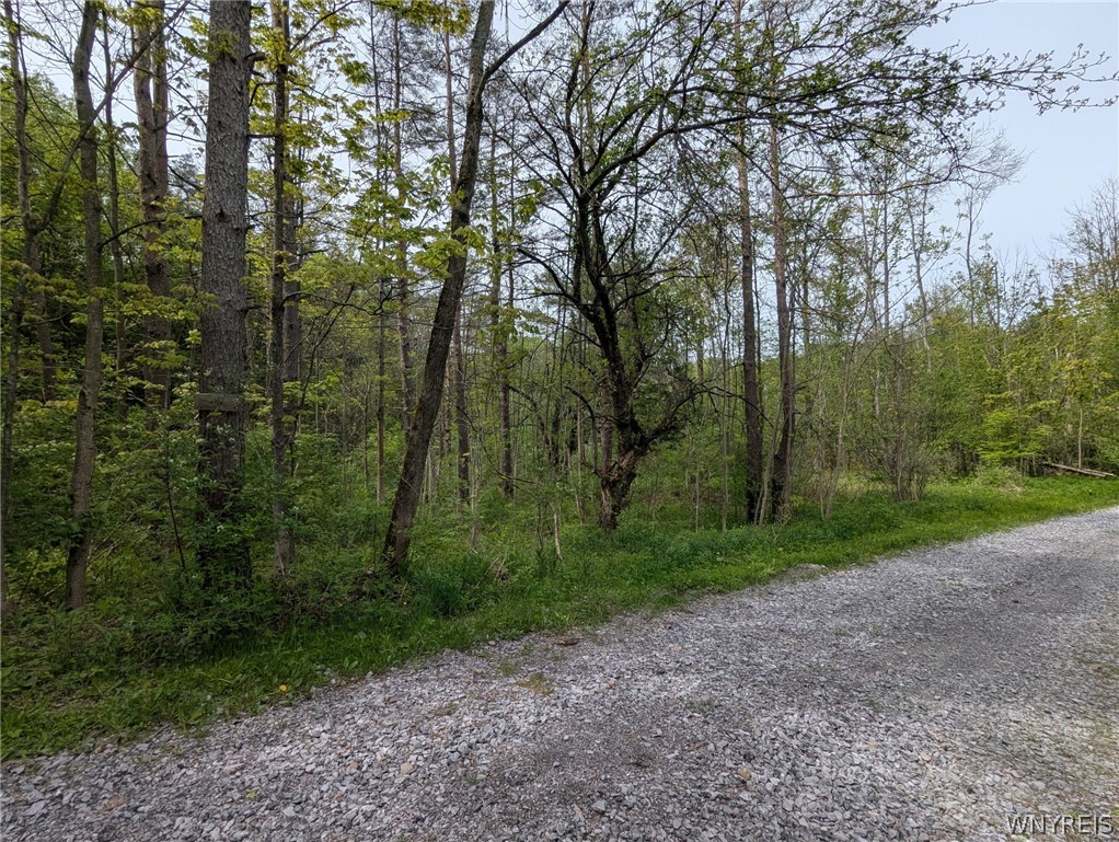 34 Treehaven Road Wethersfield, NY 14066 - Photo 6 of 7