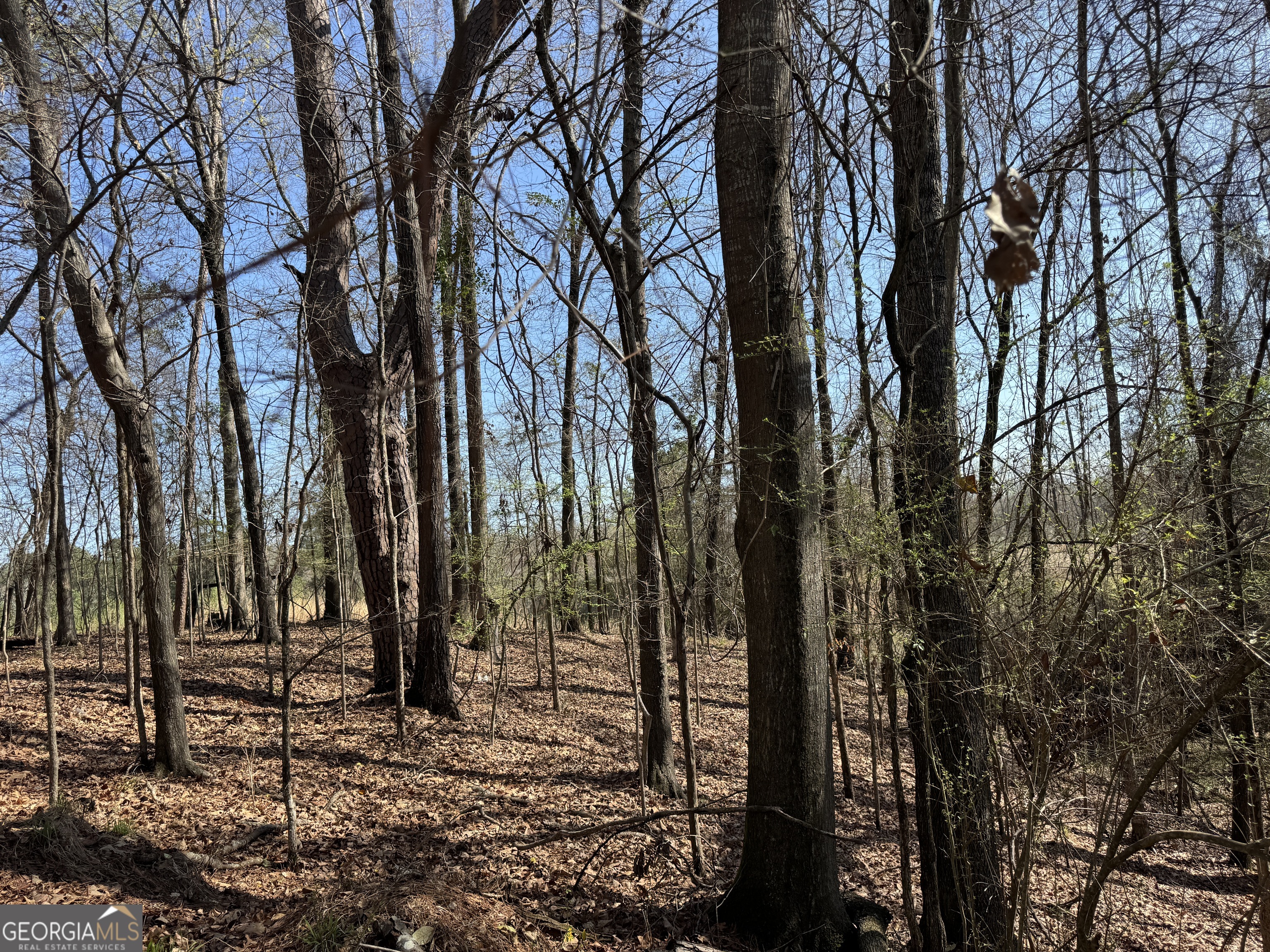 1972 Wood Valley Road Macon, GA 31211 - Photo 3 of 3