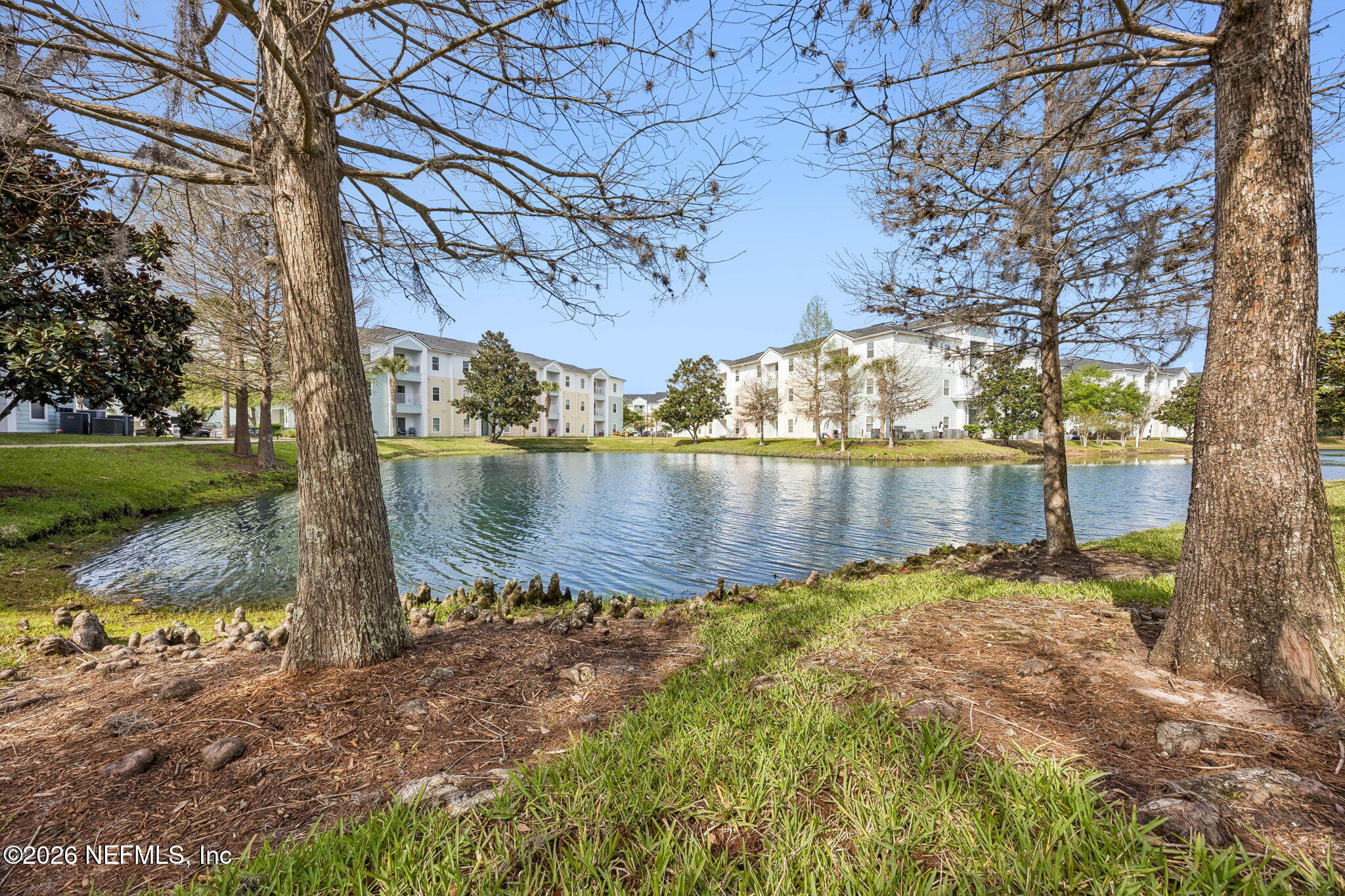 8215 Green Parrot Road, Unit 106 Jacksonville, FL 32256 - Photo 71 of 76 a view of a lake with a big yard